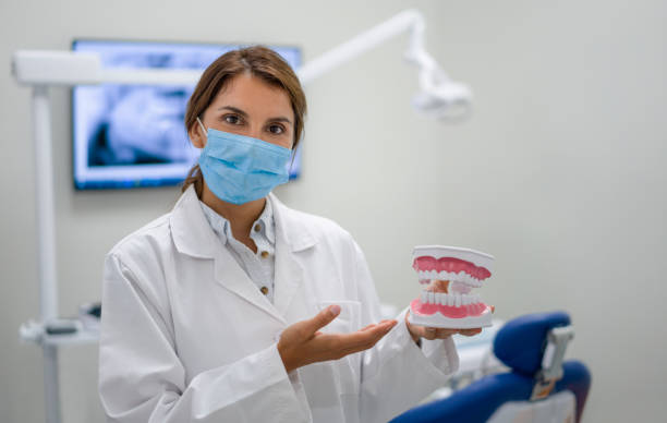 Best Orthodontic Emergency Dentist in South Sarasota, FL