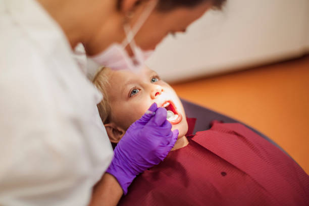 Best Emergency Dental Services for Seniors in South Sarasota, FL